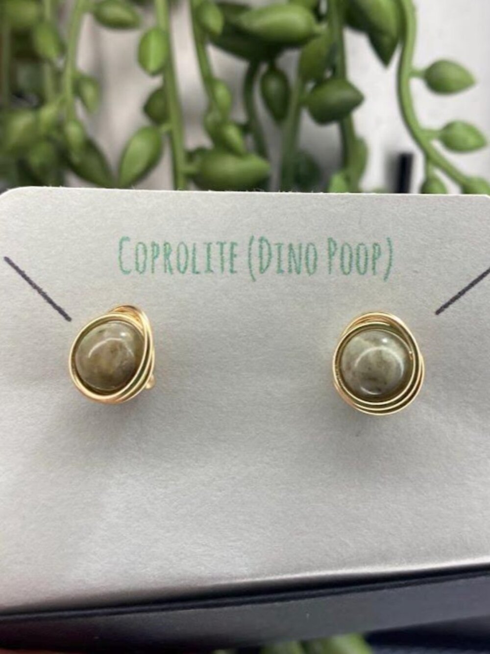 Fossilized Coprolite (Dino Poop) 6mm Wrapped Posts /Steel/Black Iron/ Stud